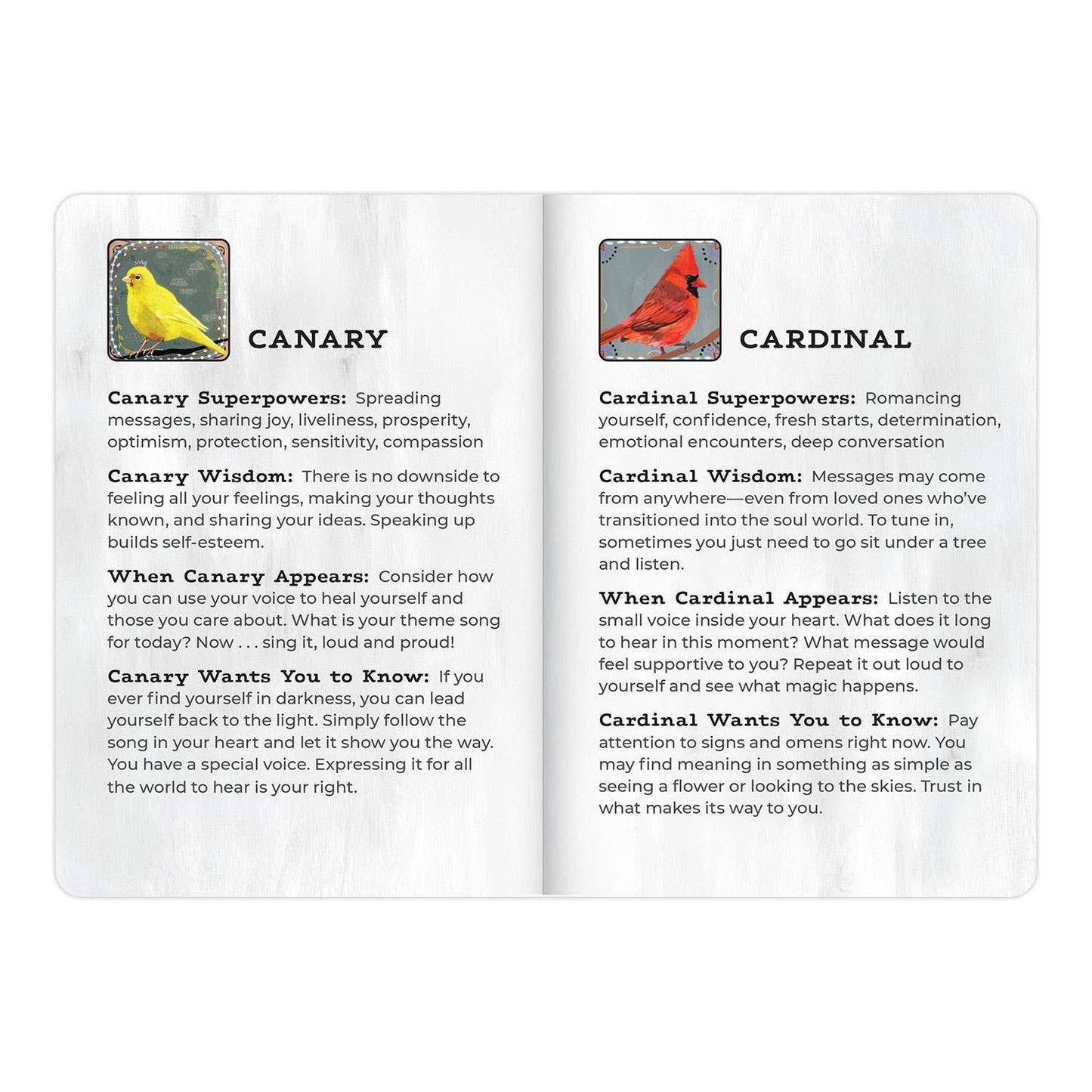 Animal Allies Birds Deck (9015452500219)