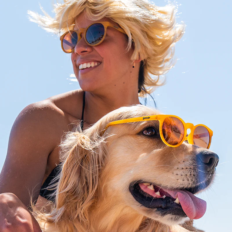 
                  
                    Bodhi's Ultimate Ride Goodr Sunglasses (7639050780923)
                  
                