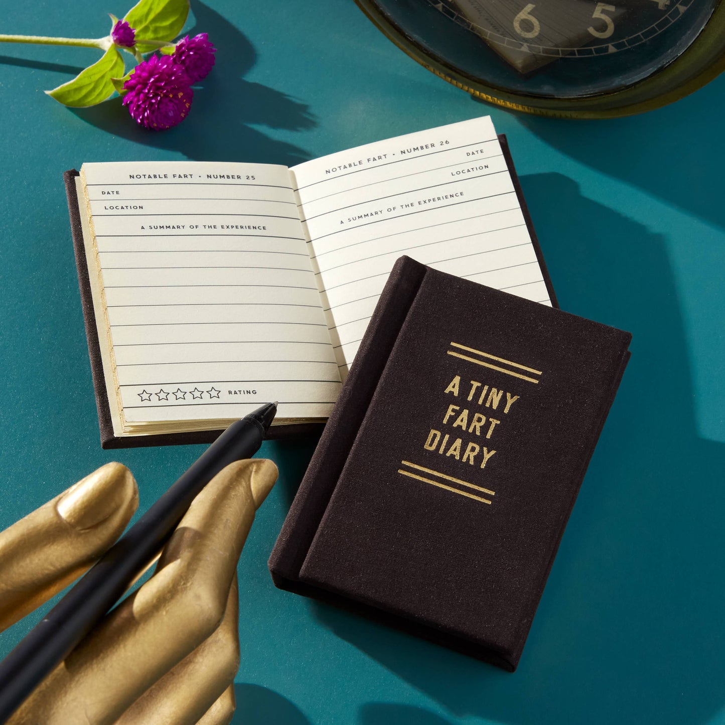 Brass Monkey A Tiny Fart Diary (9061025939707)