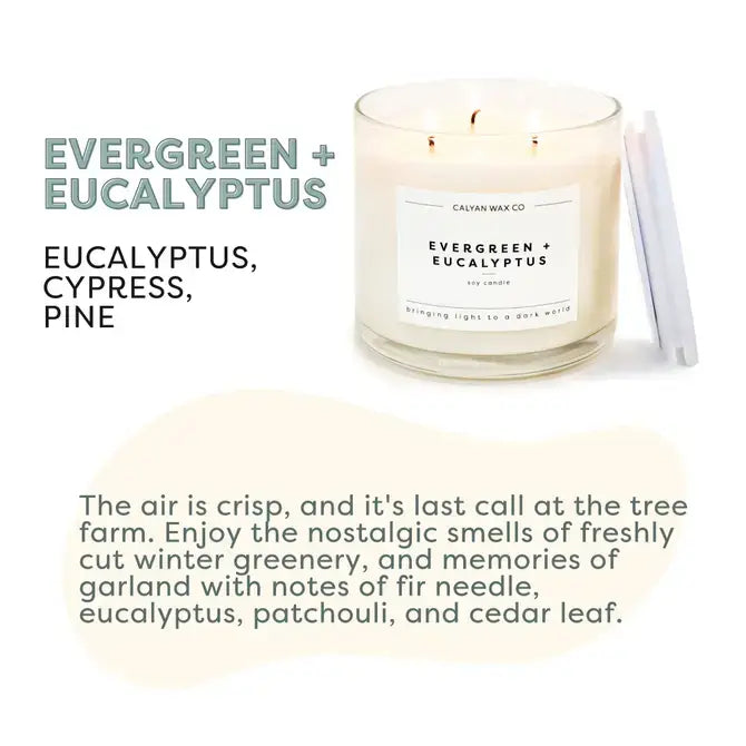 
                  
                    Evergreen+Eucalyptus - 3 Wick Clear Glass Tumbler Soy Candle (8921850347771)
                  
                