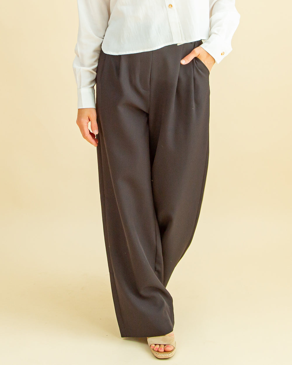 Perfection Pleated Dress Pants in Black (8327107379451)