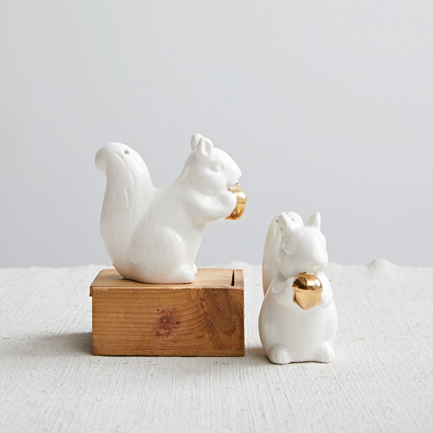 Squirrel Salt & Shaker Set (8146242765051)