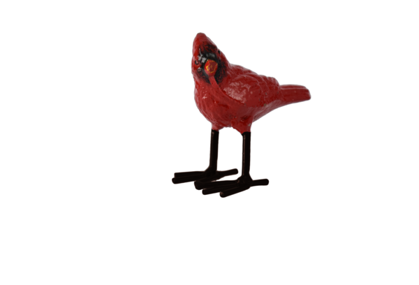 Large Iron Cardinal (8760780357883)