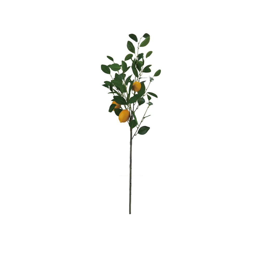 
                  
                    Faux Lemon Tree Branch (8966036062459)
                  
                