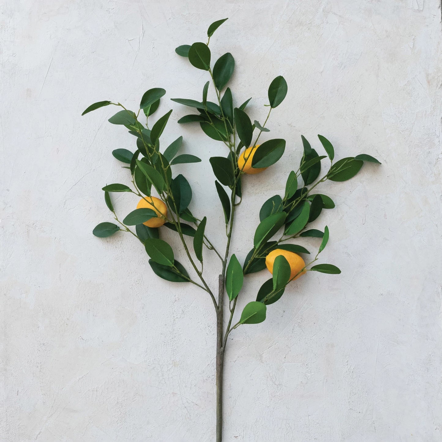 Faux Lemon Tree Branch (8966036062459)