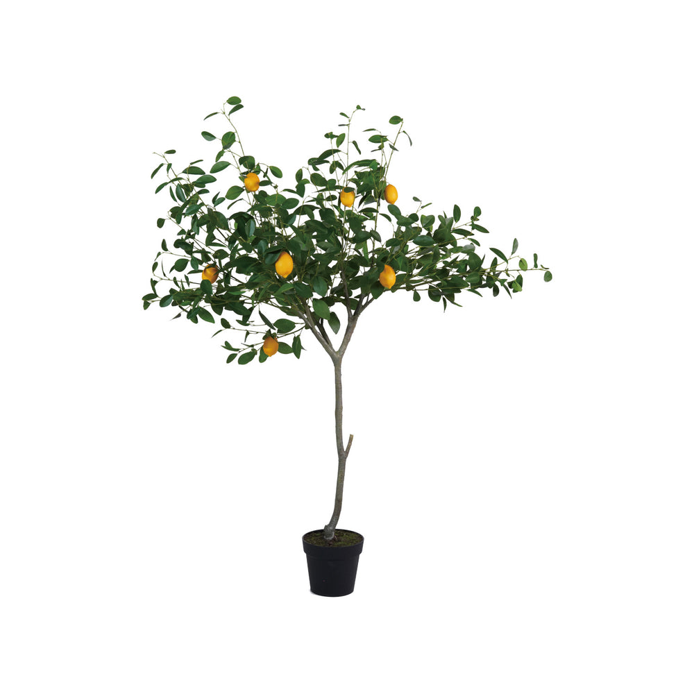 
                  
                    Faux Lemon Tree in Plastic Pot (8966036095227)
                  
                