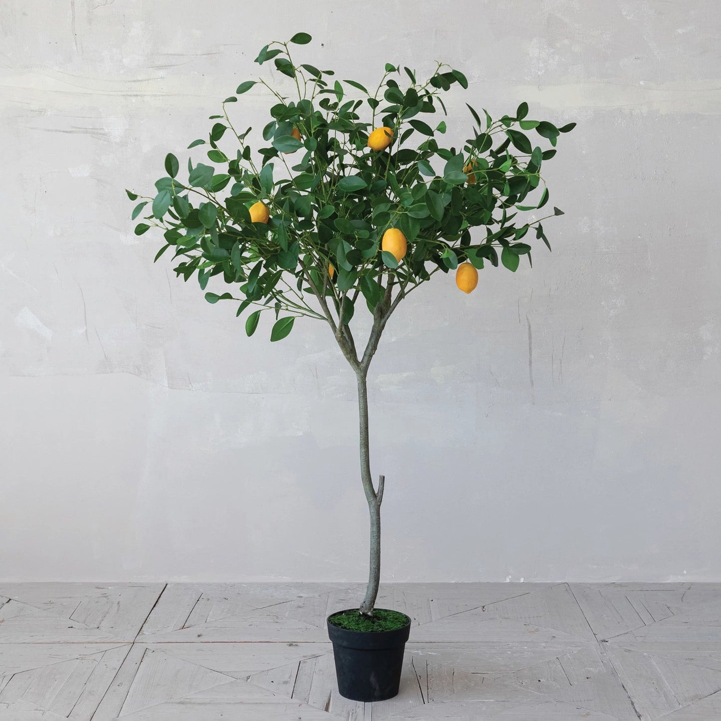 Faux Lemon Tree in Plastic Pot (8966036095227)