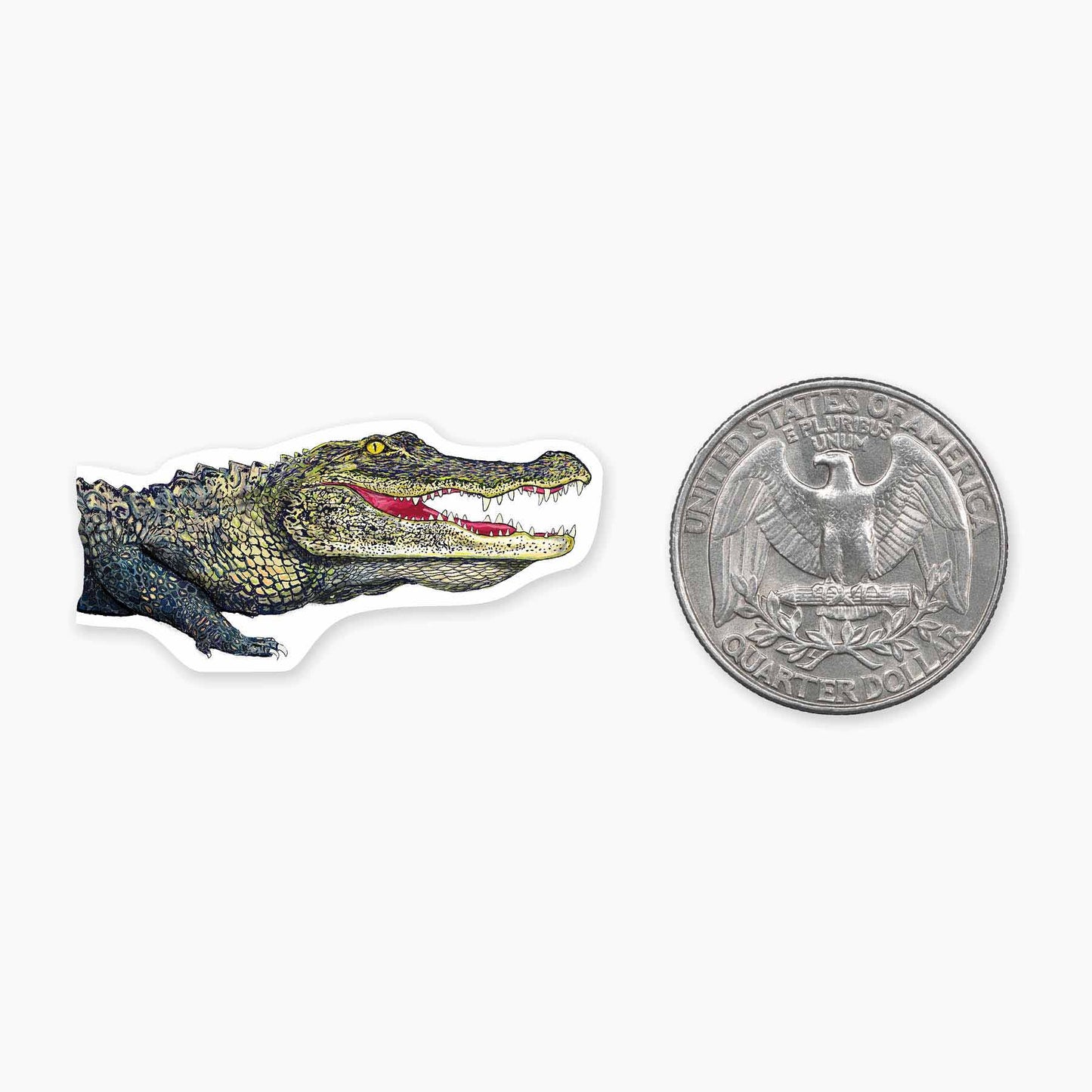 Gator - Mini Sticker: No Barcode (8893110223099)