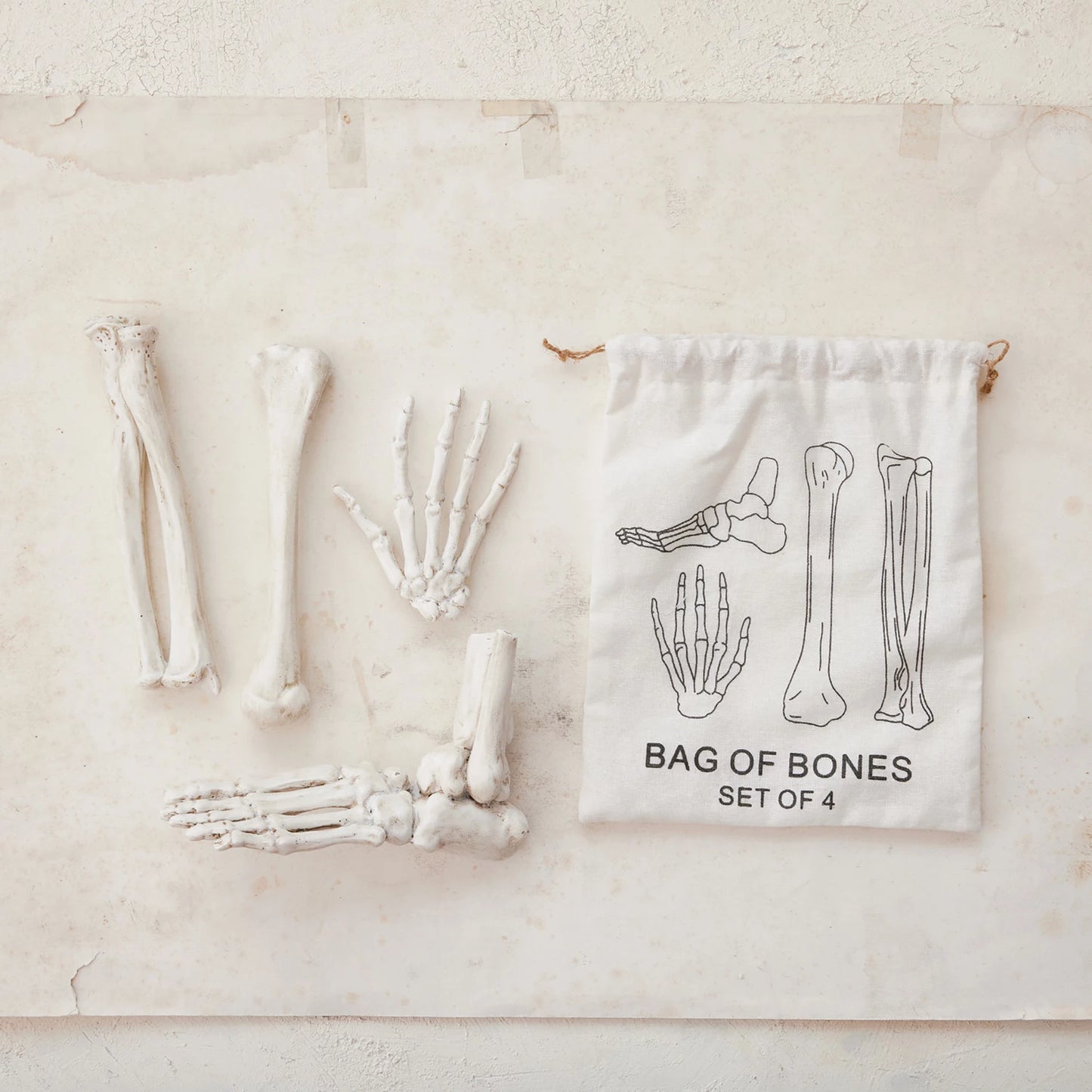 S/4 8"L Resin Bones, White in Printed Drawstring Bag (9085480304891)