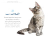 97 Ways to Make a Cat Like You Book (7643132166395)