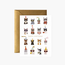  Rifle Cool Cats Birthday Card (7442216747259)