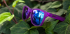 Gardening With a Kraken Goodr Sunglasses (5243737276576)